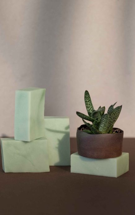 Pimo Duschseife Aloe Vera